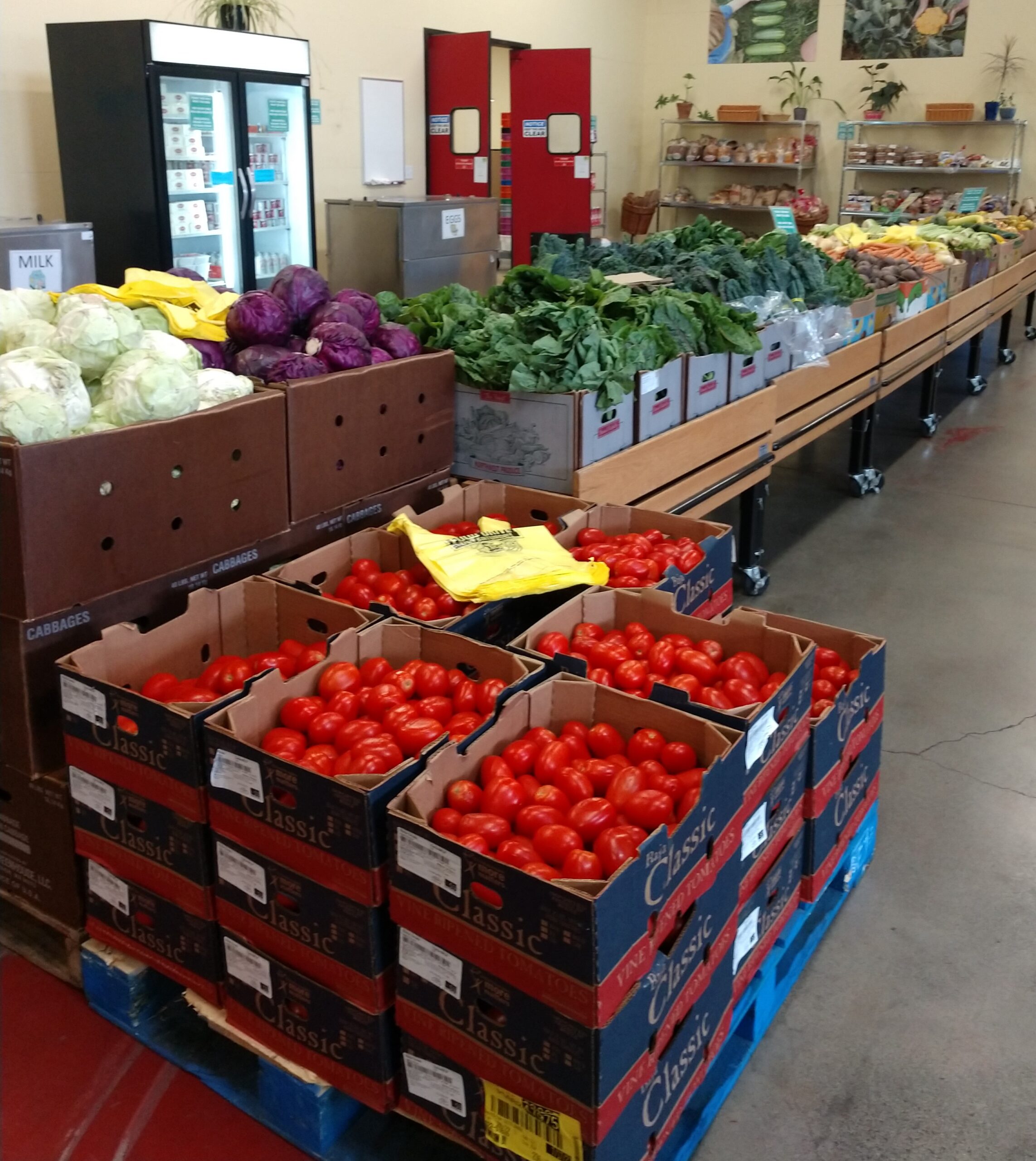 bellingham food bank 2 crop scaled