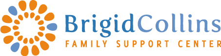 Partner Agencies Brigid Collins logo